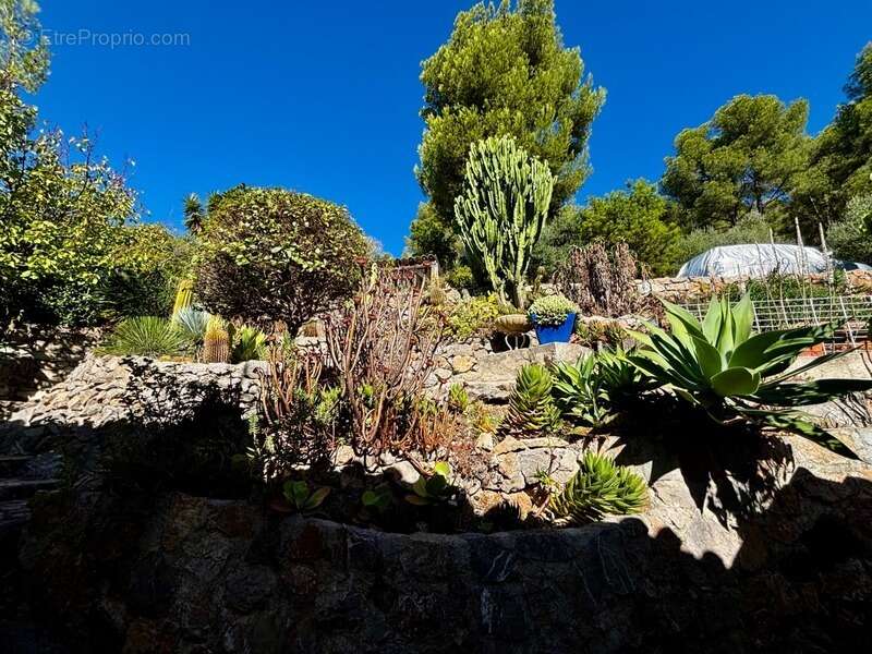 Maison à LA VALETTE-DU-VAR