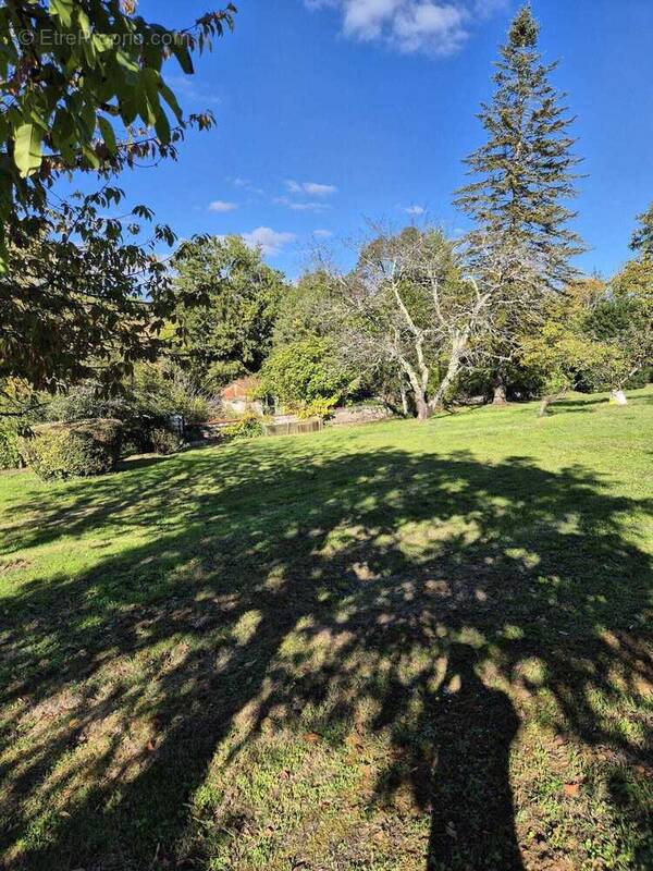 Terrain à MOUTHIERS-SUR-BOEME