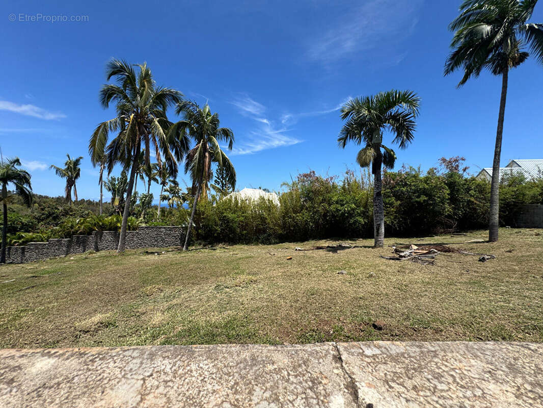 Terrain à SAINT-DENIS