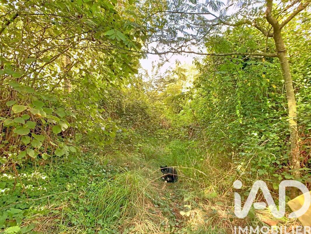 Photo 4 - Maison à SAINT-JOUAN-DES-GUERETS