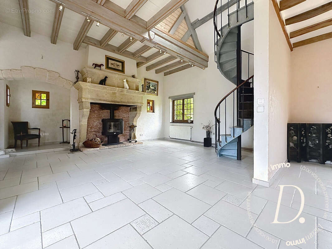 Salon avec cheminée en pierre - Maison à PANILLEUSE
