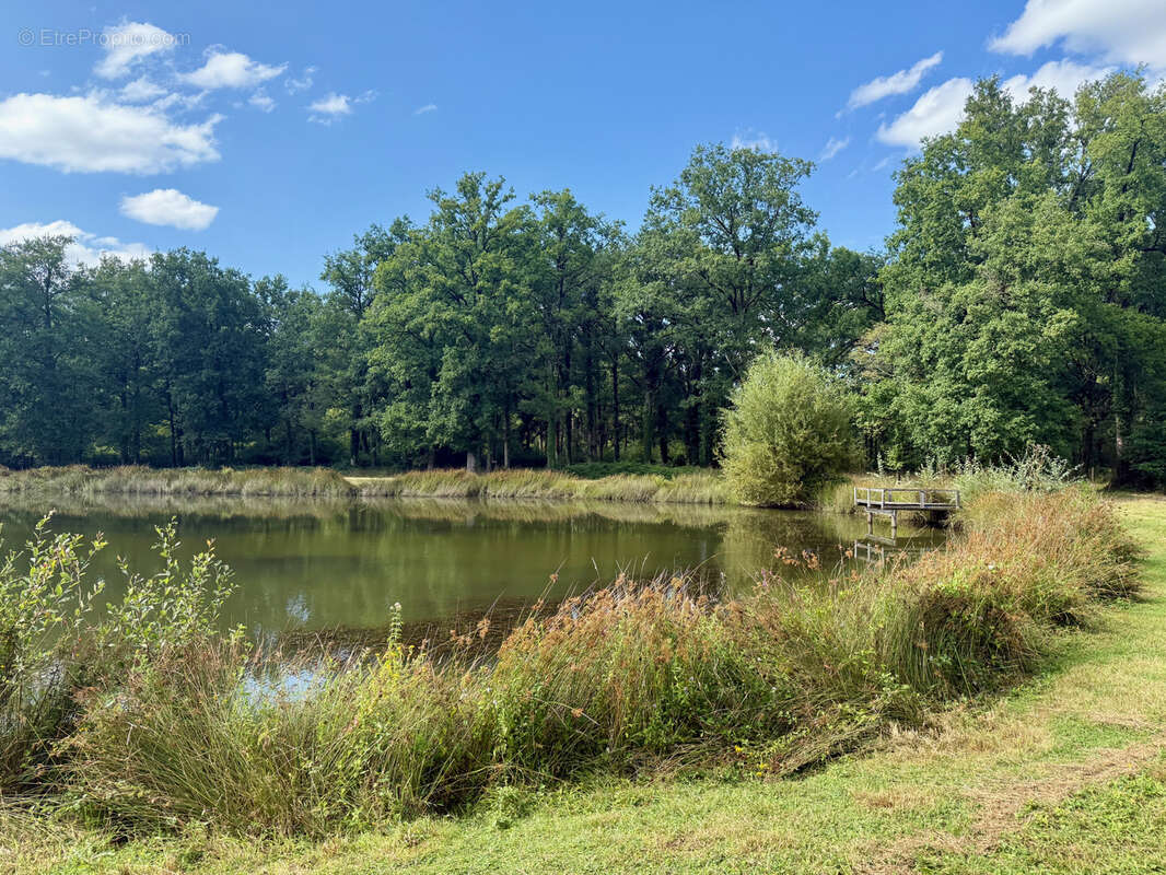 Terrain à MONTIGNE-LES-RAIRIES