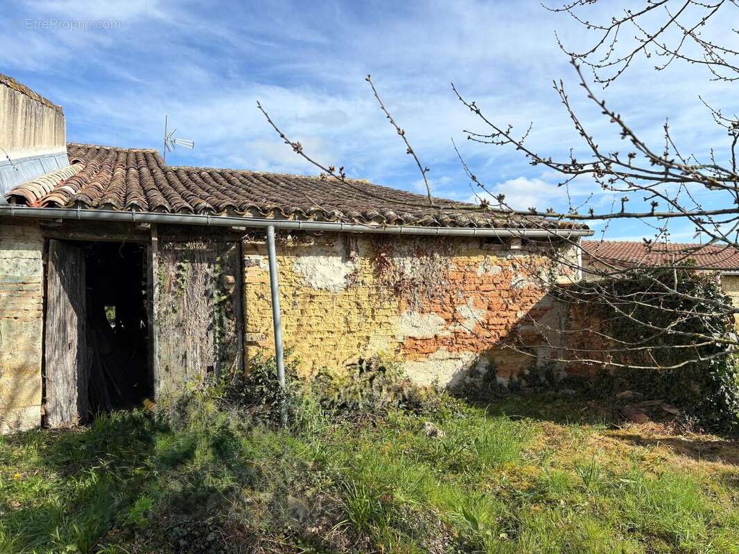 Photo 4 - Maison à DUNES