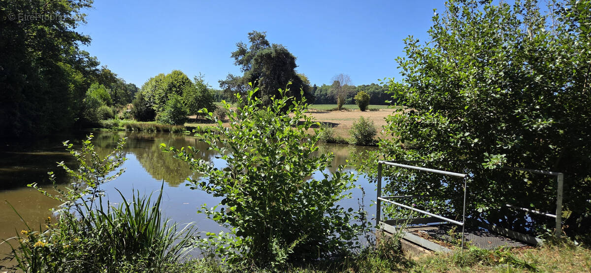Terrain à VICQ-SUR-BREUILH