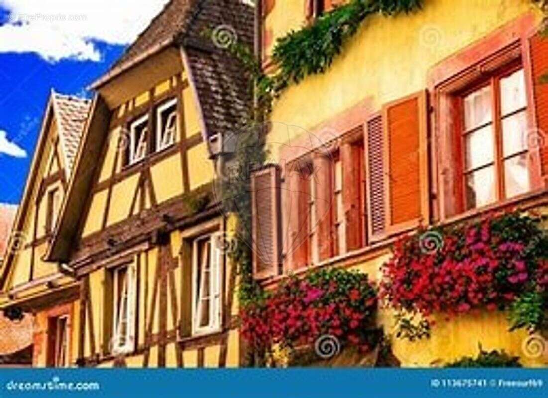 Commerce à ROUFFACH