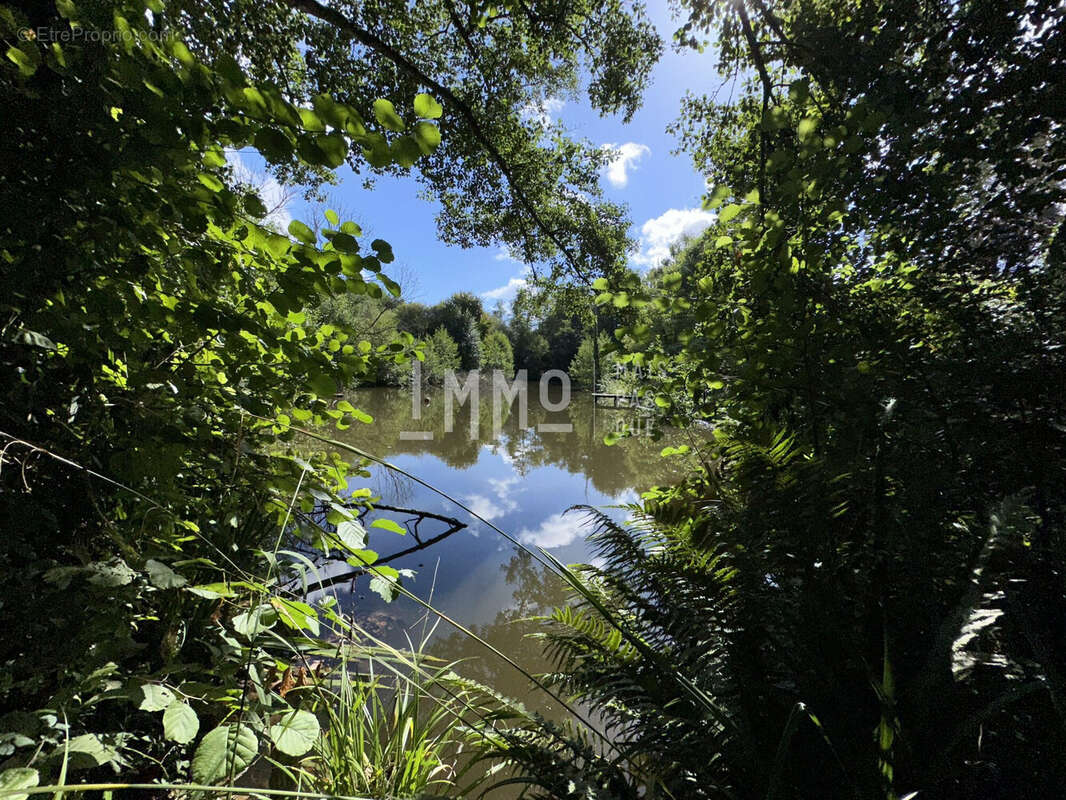Terrain à MONTREUIL-LE-HENRI