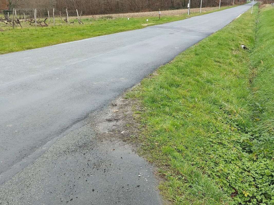 Terrain à SAINTE-COLOMBE