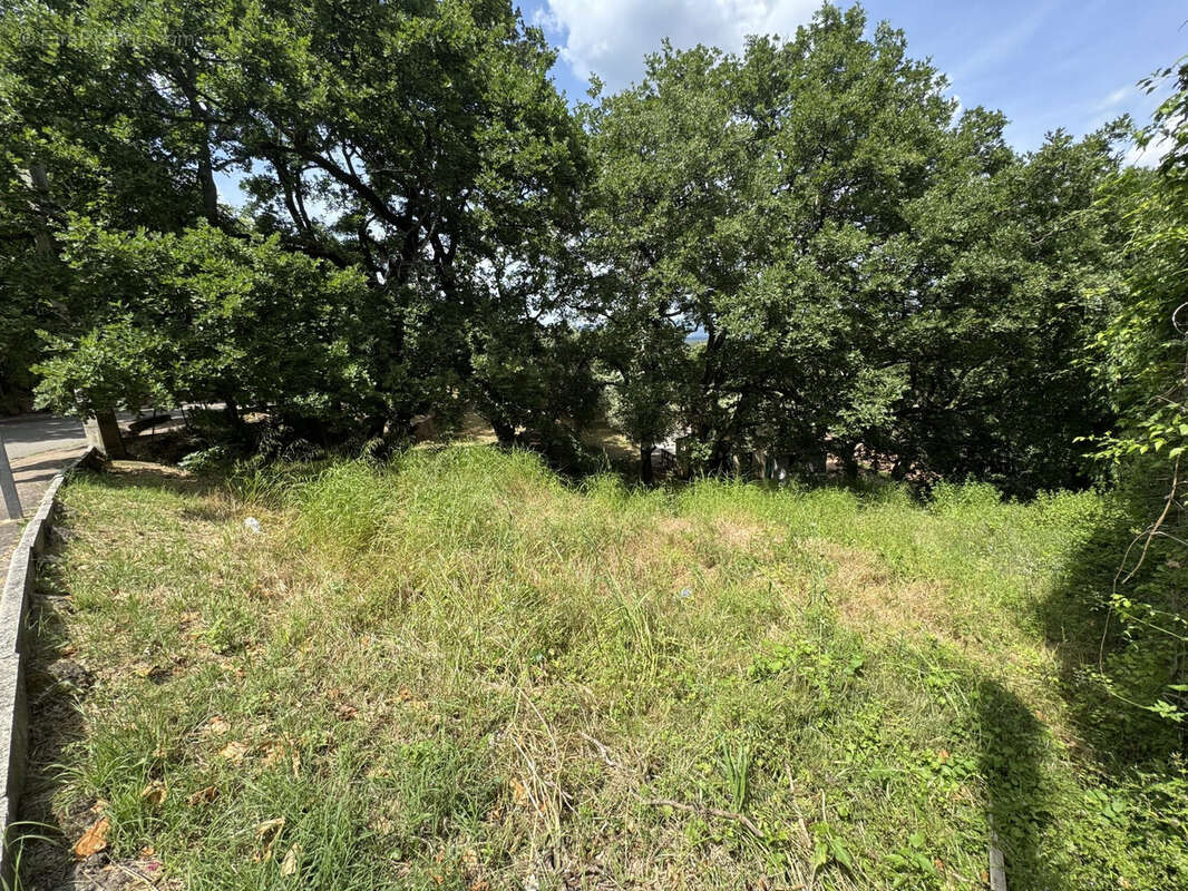 Terrain à LES MAYONS