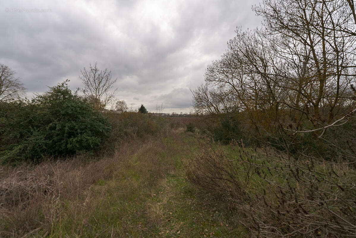 Terrain à CARCASSONNE