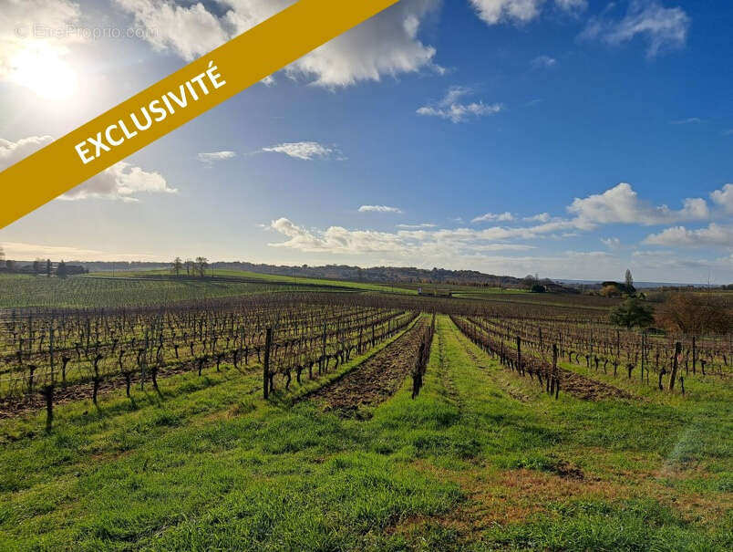 Maison à SAINT-MACAIRE