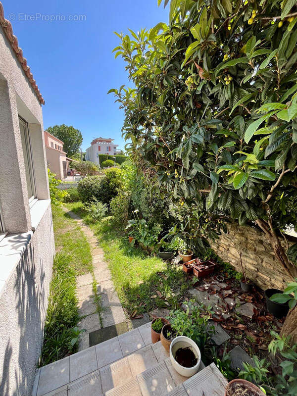 Maison à MONTPELLIER