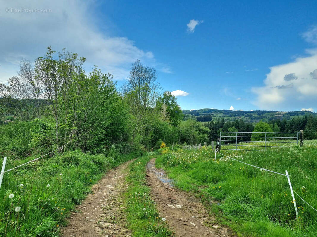 Maison à SAINT-AMANT-ROCHE-SAVINE