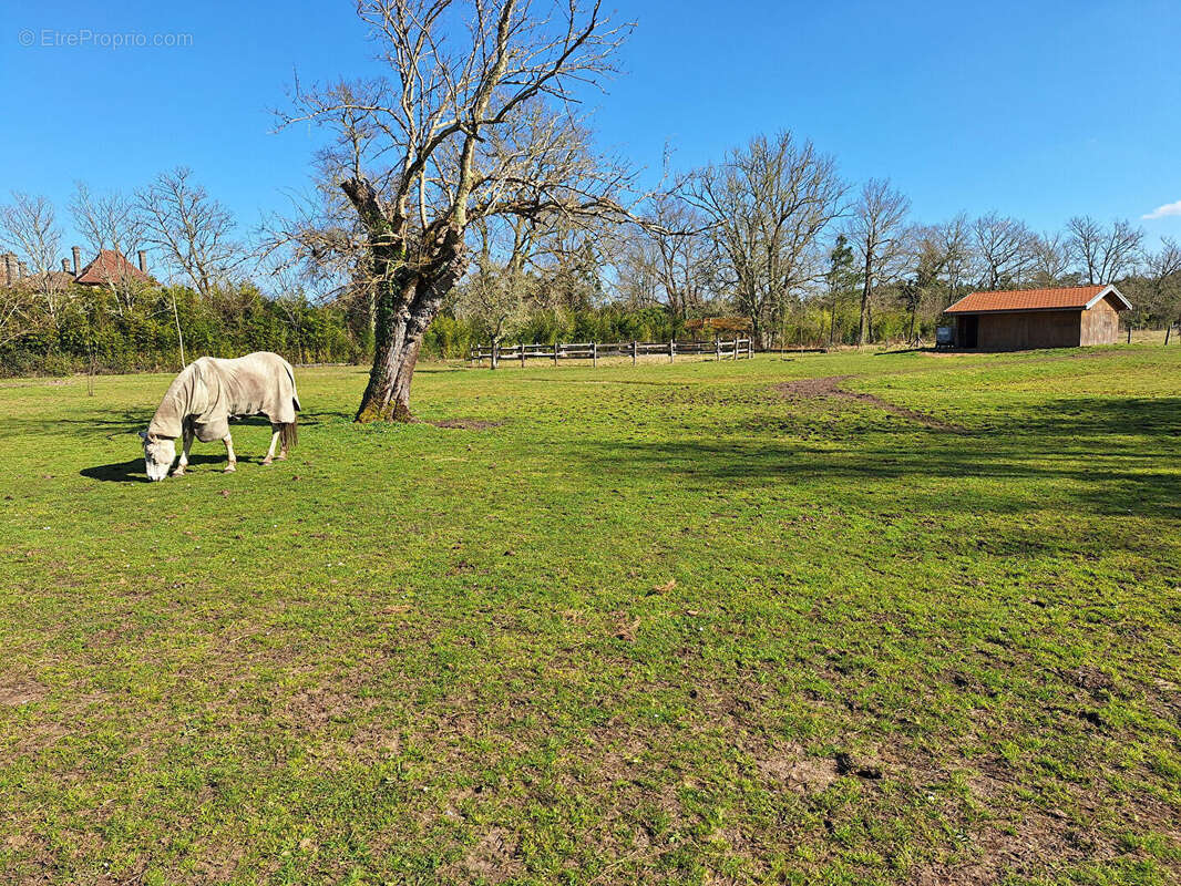 Maison à SAUGNACQ-ET-MURET