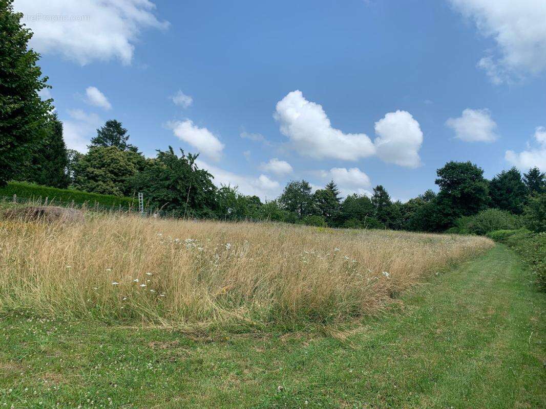 Terrain à SAINT-YRIEIX-LA-PERCHE