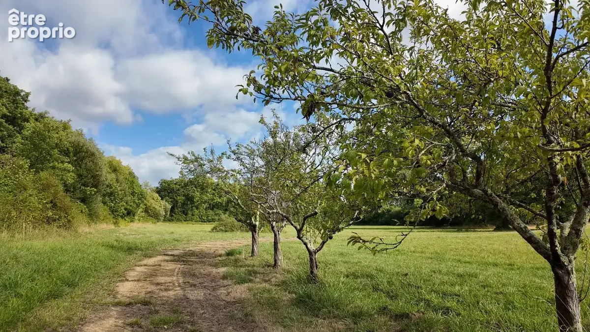 Un moulin, 11 hectares et l'art de vivre à la campagne, à 40 minutes d'Hossegor - photo 5