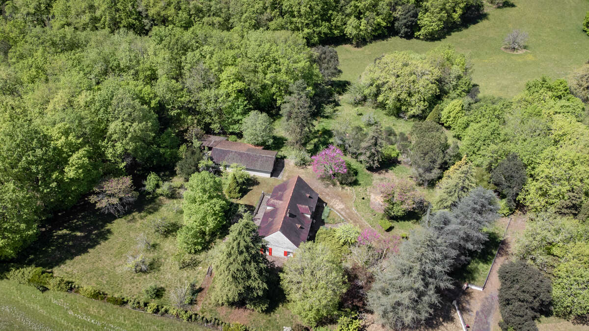 Maison +/- 114 m2, plein pied, 3chambres, garage, atelier, 2.5ha terrain - photo 3