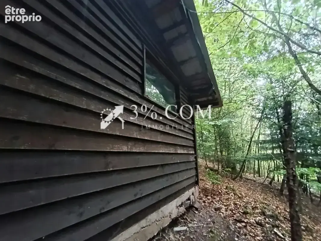 Terrain forestier avec étang sur la commune de Moyenmoutier - photo 7