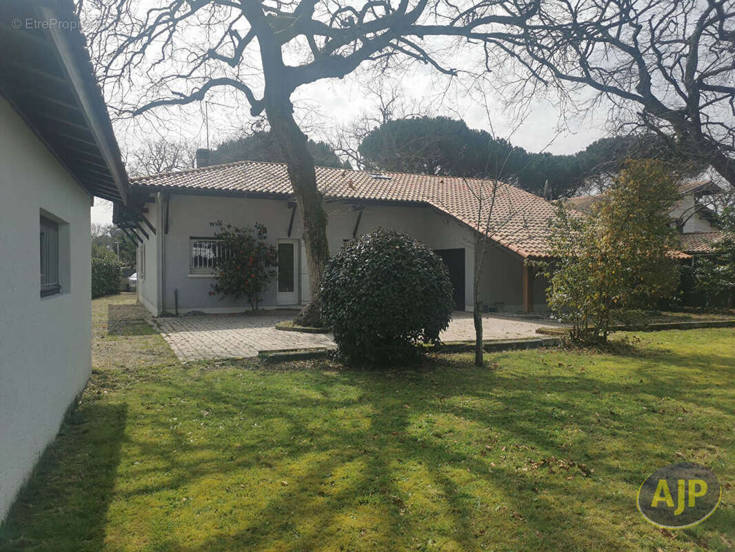 Villa Taussat 6 chambres - photo 15