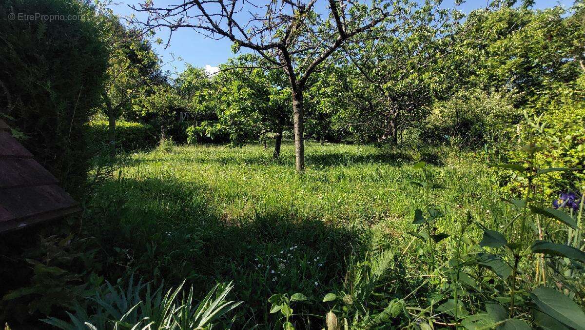 Maison à PONT-SUR-YONNE