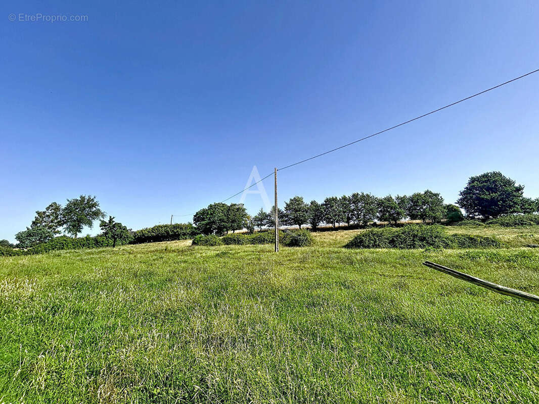 Terrain Loigne Sur Mayenne 23946 m2 - photo 11