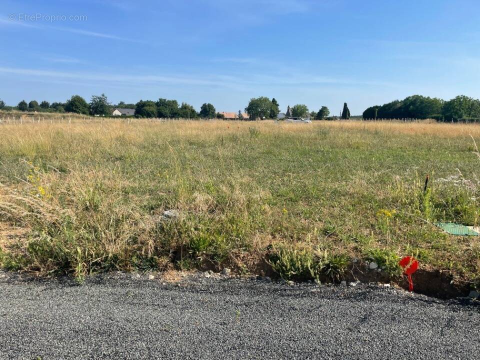 Terrain à PARCE-SUR-SARTHE