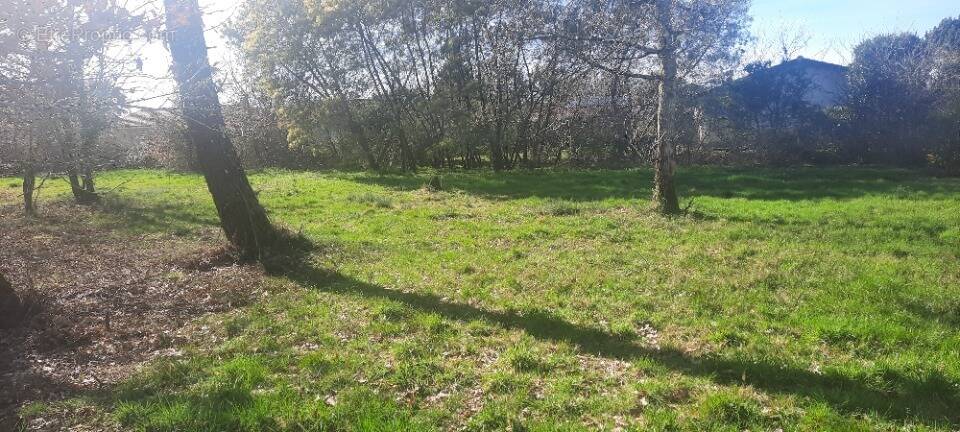 Terrain à GUJAN-MESTRAS