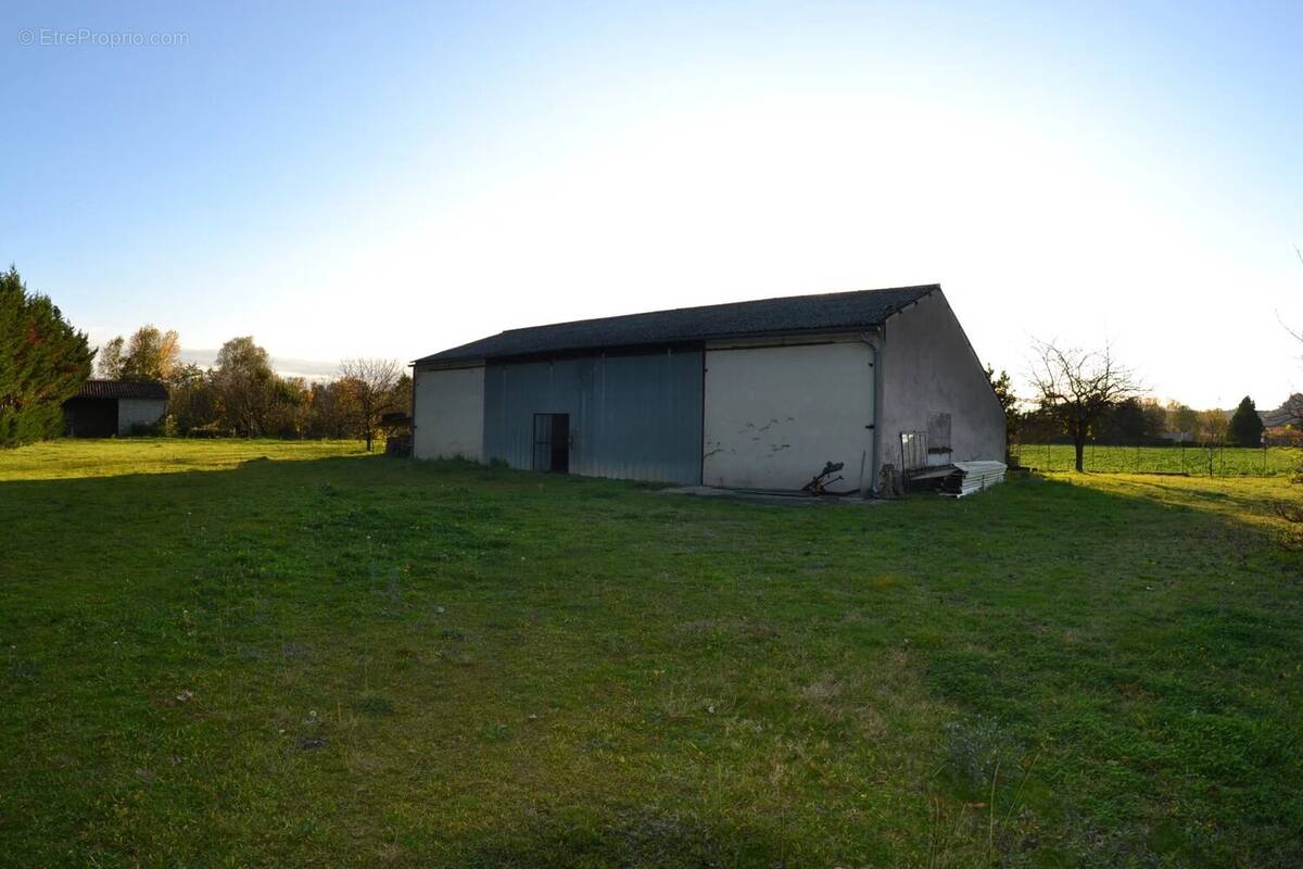 Commerce à MONTDRAGON