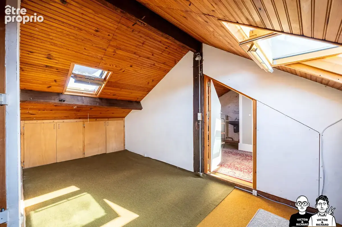 Rue étienne larchey - maison de caractère - 257 m2 de jardin +  64 m2 d'annexes - photo 15