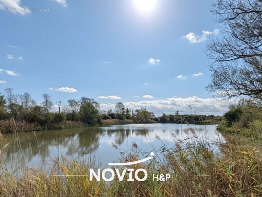 Terrain à SAINT-MICHEL-EN-BRENNE