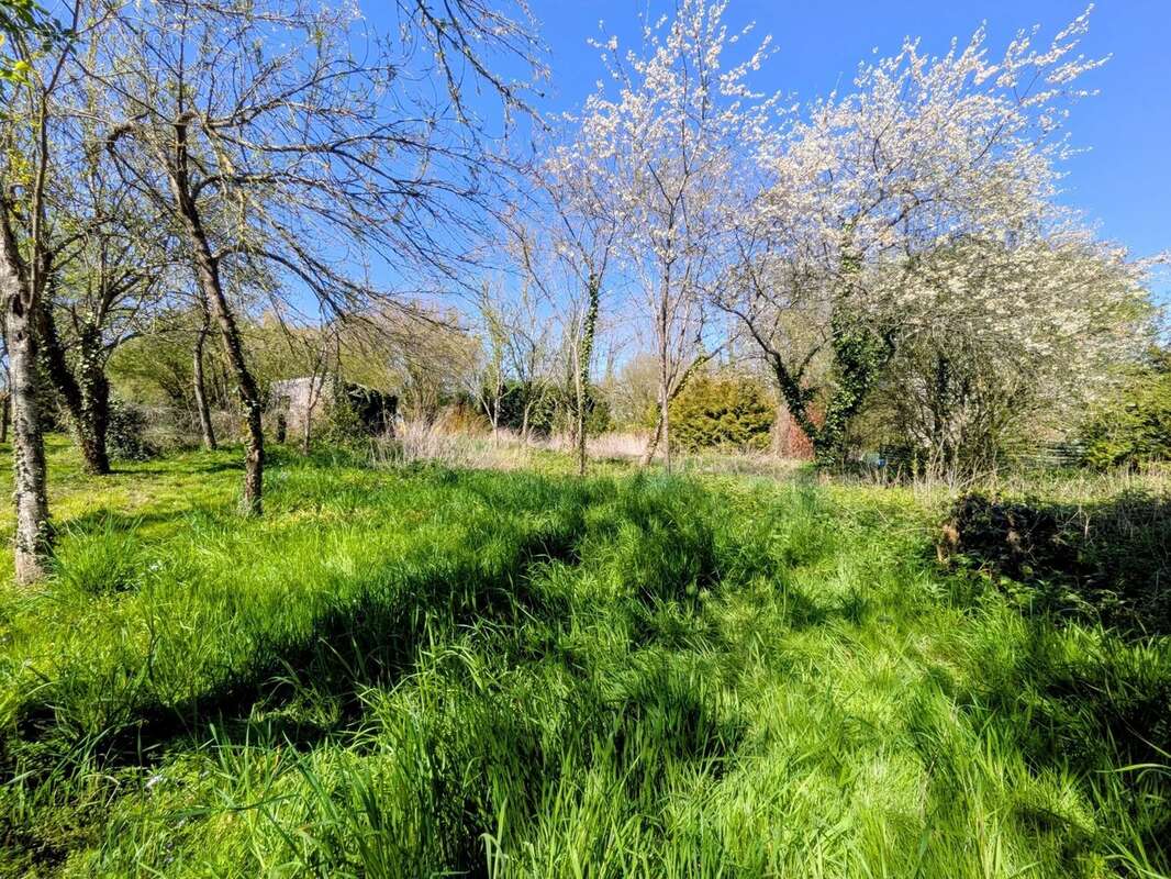 Maison à LA FERTE-GAUCHER
