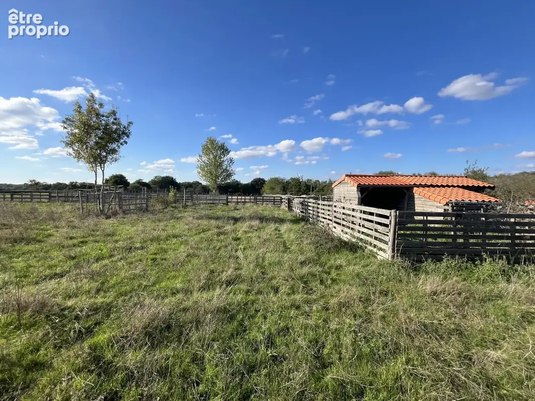 Au Cellier, maison rénovée 150 m2 - 6 pièces sur 4600m2 de terrain - photo 16
