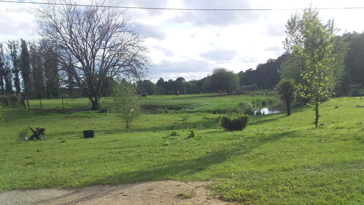 Maison à CASTELJALOUX