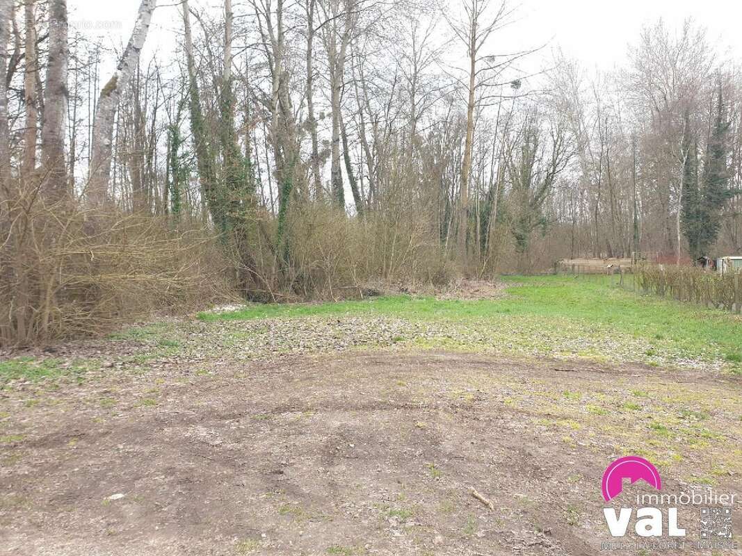 Terrain 2535 m² à Milly-La-Foret  - photo 4