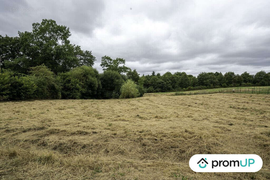 Terrain à SAINT-VICTURNIEN