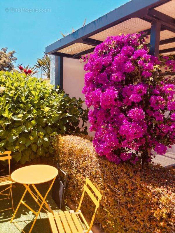 Maison à ZONZA