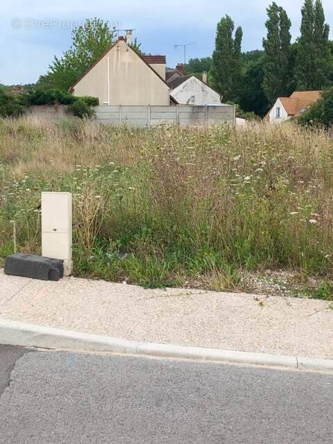 Terrain à VENEUX-LES-SABLONS