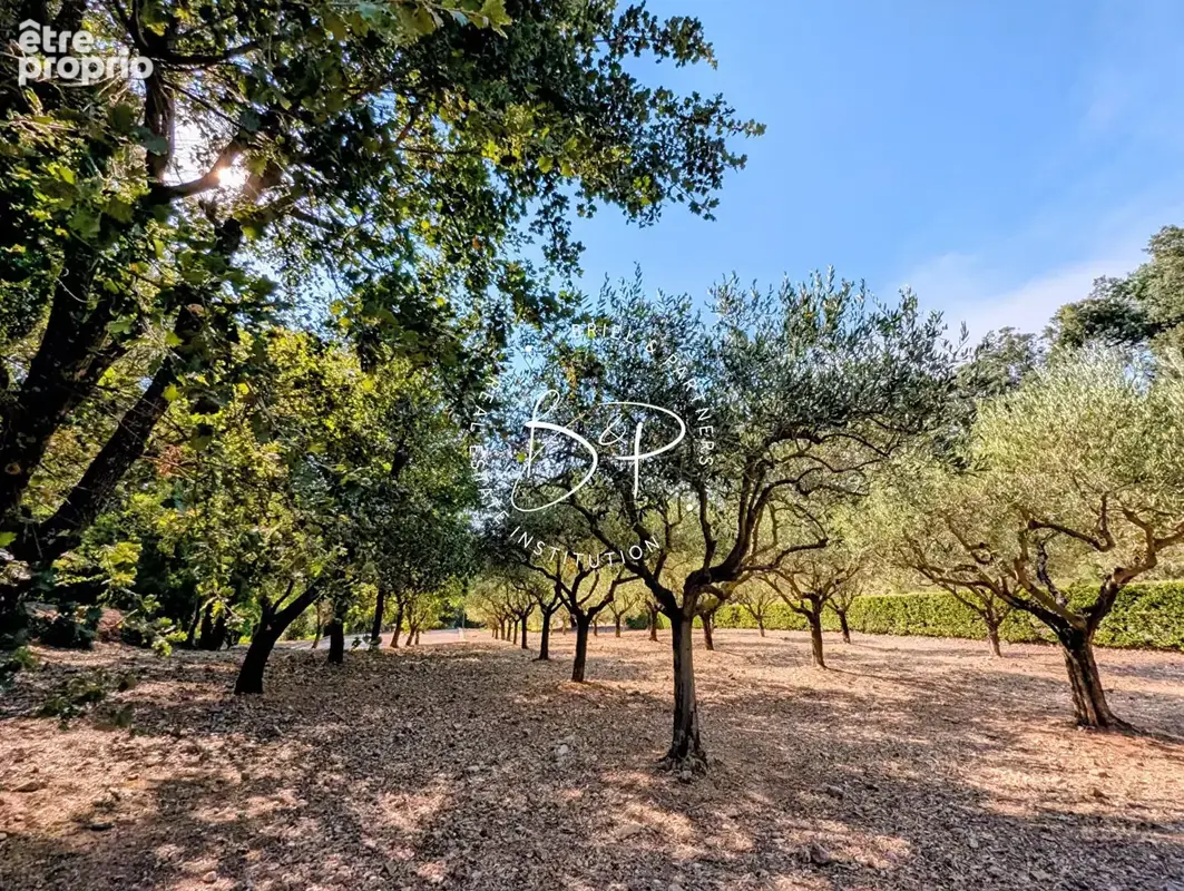 CARCES à VENDRE Bastide et bergerie en pierre au coeur d'un hameau provençal  4 chambres piscine garage sur  3300 m² de terrain  - photo 16