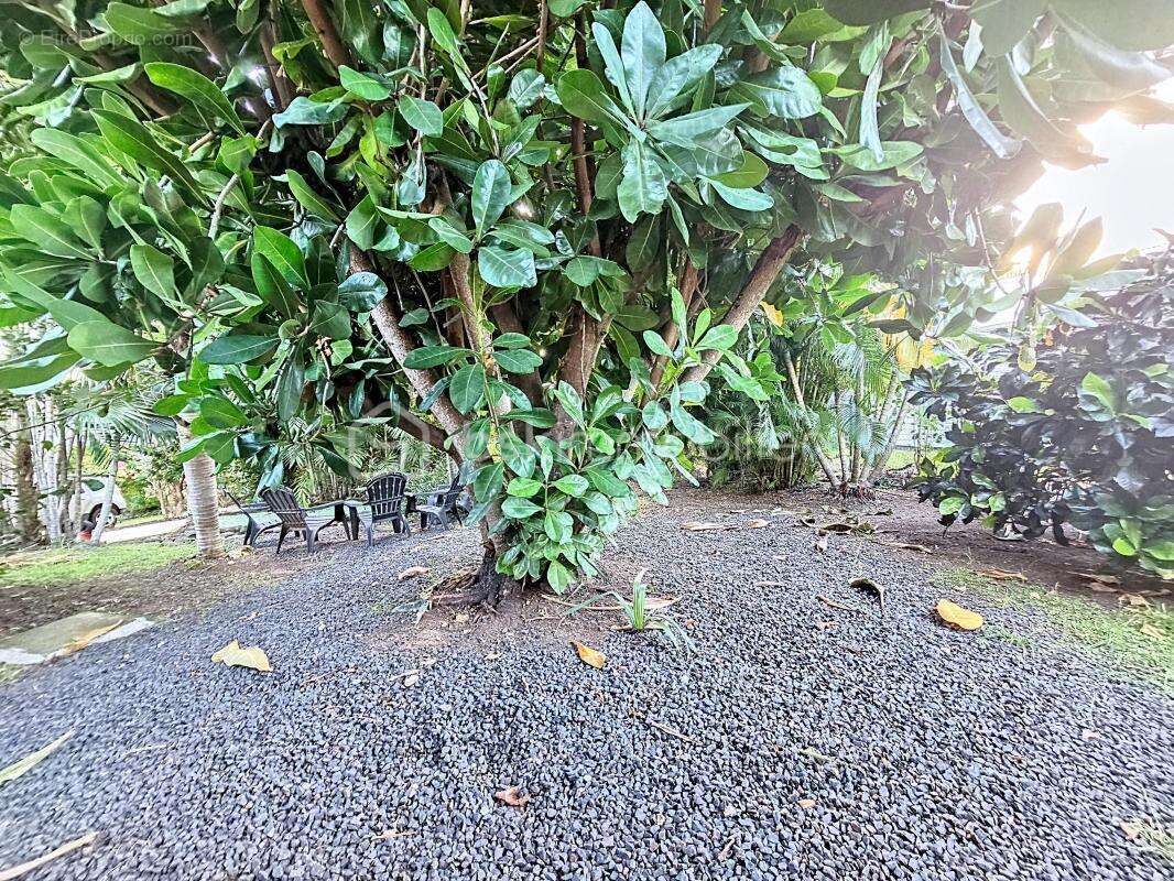 Maison à SAINT-FRANCOIS