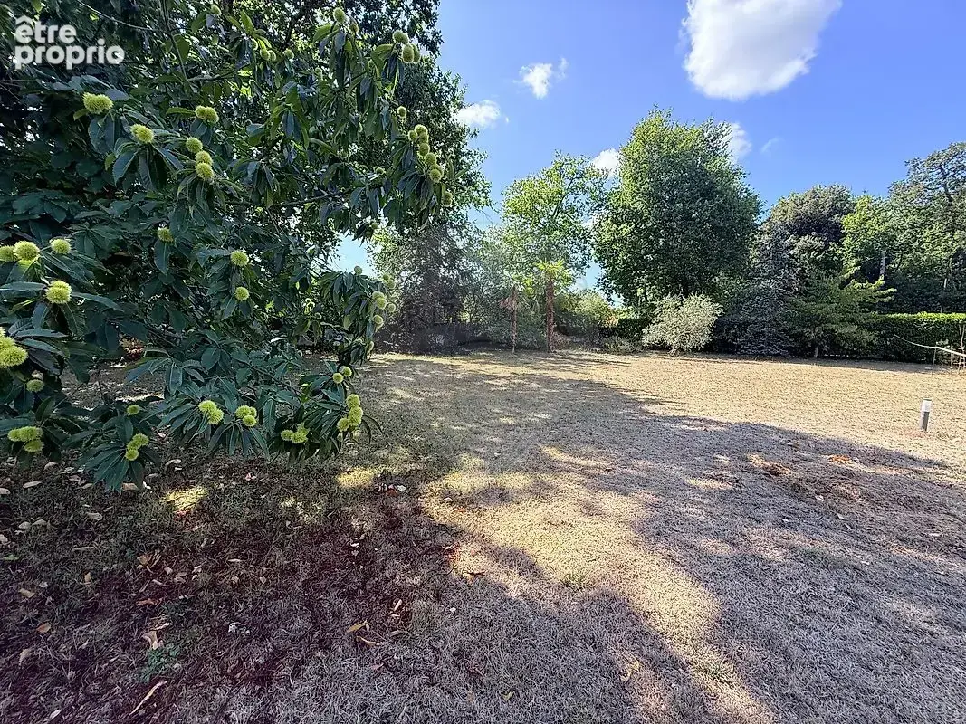 Terrain  à vendre - photo 2