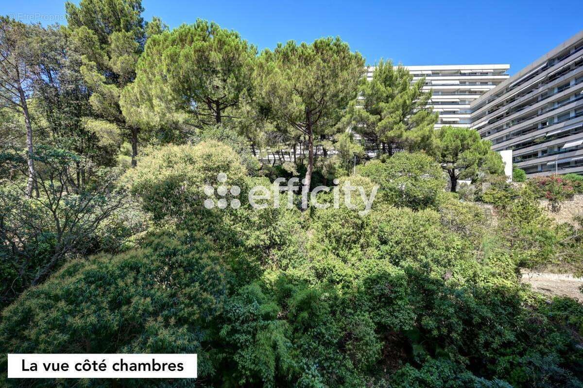 Appartement - photo 16