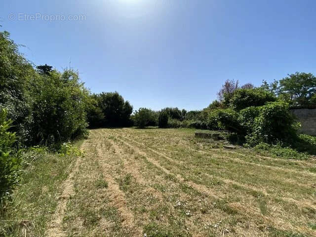 Terrain à LIEZ