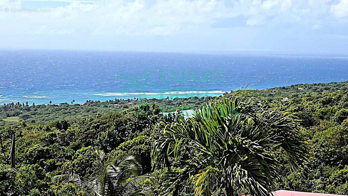 Maison à CAPESTERRE-DE-MARIE-GALANTE