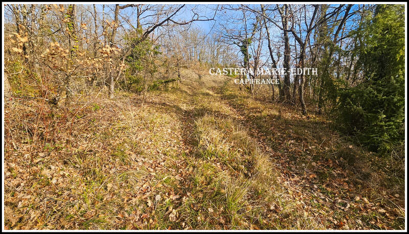 Terrain  à vendre  pessan (32) - photo 5