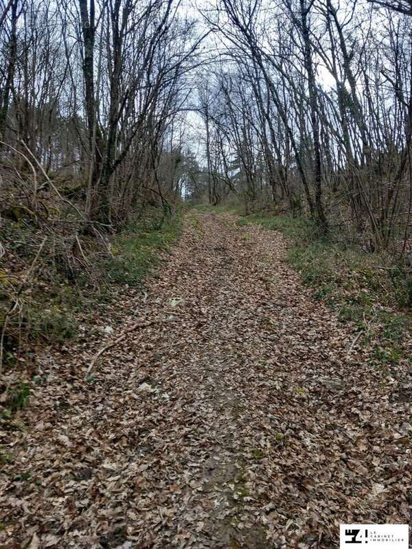 Terrain à SAINT-MICHEL