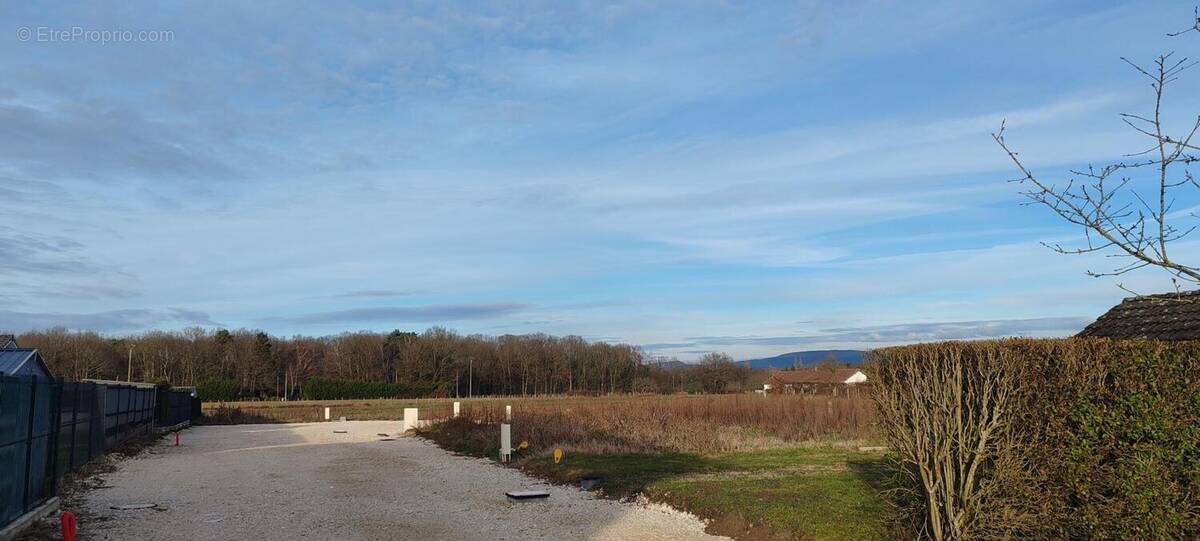 Photo 1 - Terrain à VIRIAT