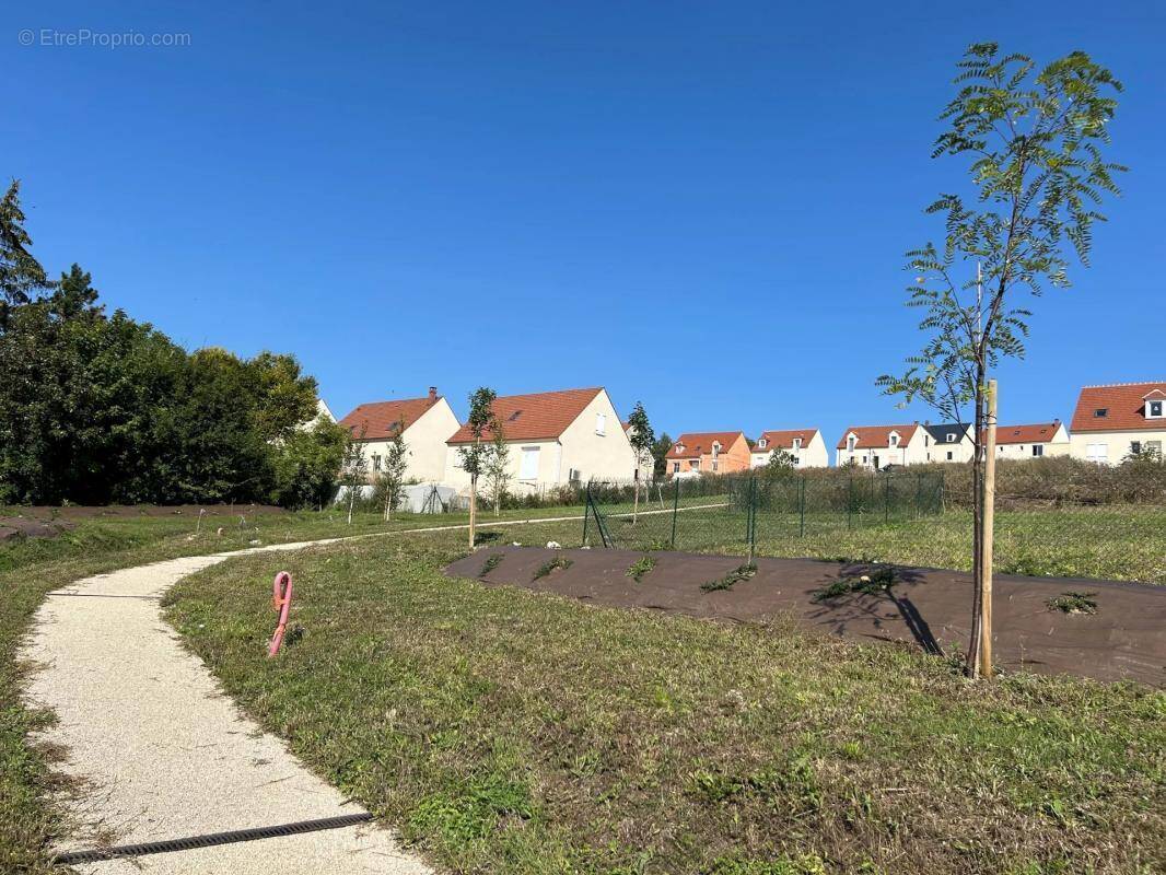 Terrain à PUISEUX-LE-HAUBERGER