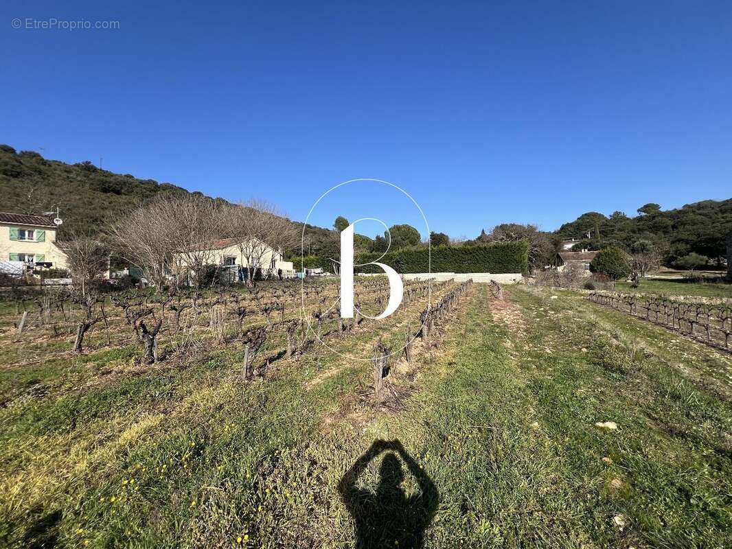 Terrain à LA ROQUE-SUR-CEZE
