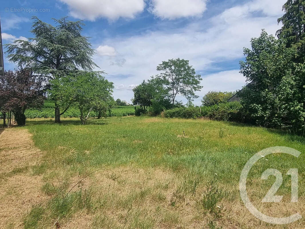 Maison 105 m² à Crezancy-En-Sancerre  - photo 17