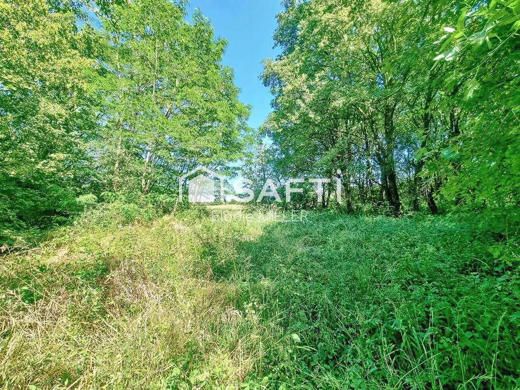 Terrain 2593 m² à Pulligny  - photo 2