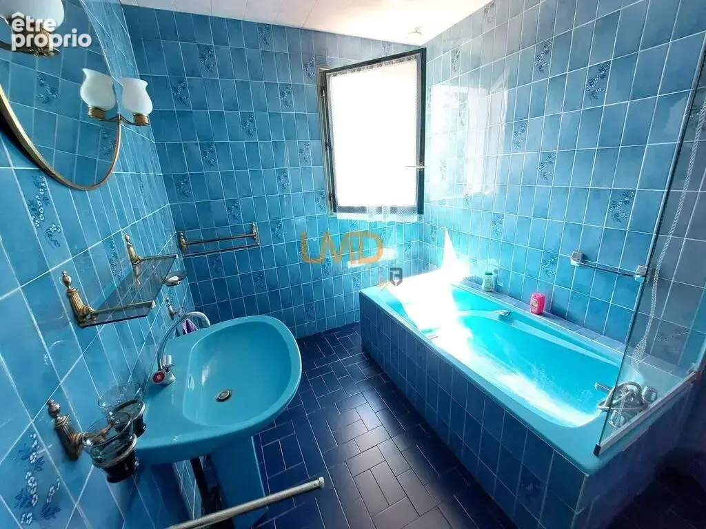 Bray sur Seine, maison 3 chambres avec sous-sol total et Piscine - photo 13